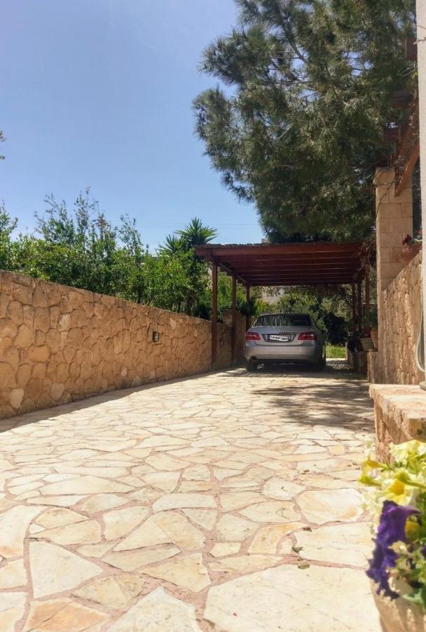 Mediterranean Garden Villa Vathí Exteriör bild