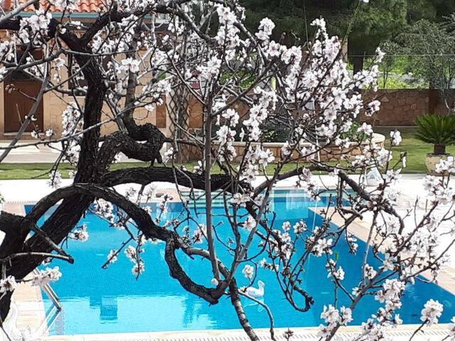 Mediterranean Garden Villa Vathí Exteriör bild