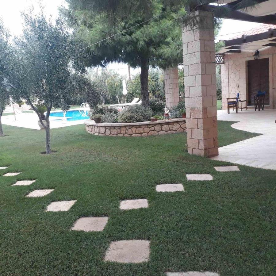 Mediterranean Garden Villa Vathí Exteriör bild