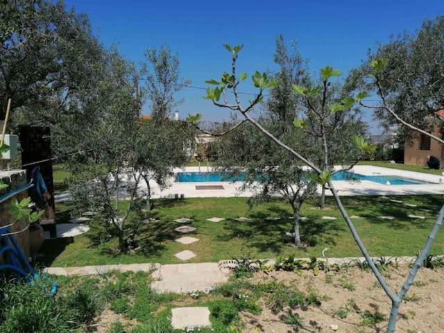 Mediterranean Garden Villa Vathí Exteriör bild